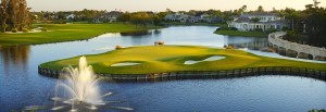 Fiddlesticks Country Club Homes for sale
