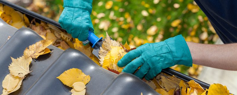 Maintenance Tips That Will Save You Money