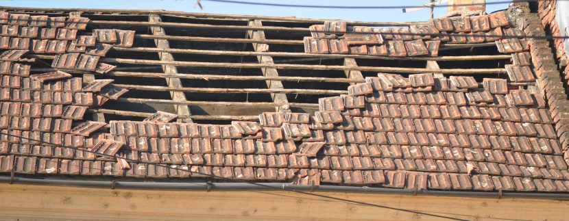 How to Prevent Wind Damage on Your Property