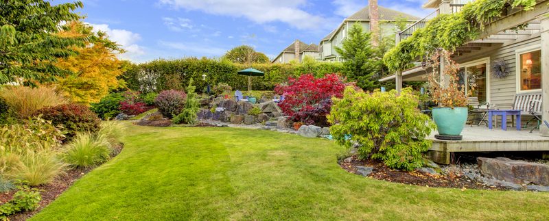 The Benefits of Having a Big Backyard